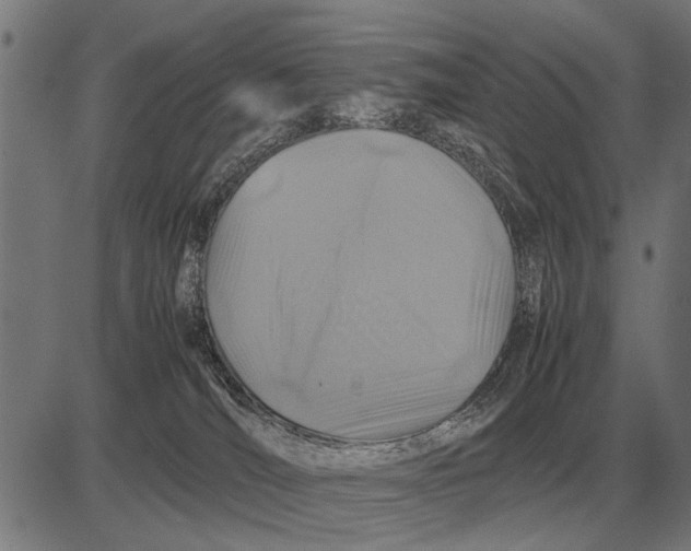 X0000081470036200702021843