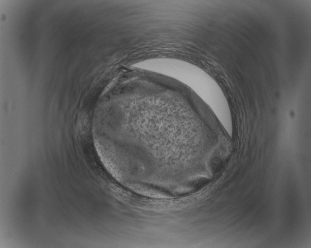 X0000081470037200702021843