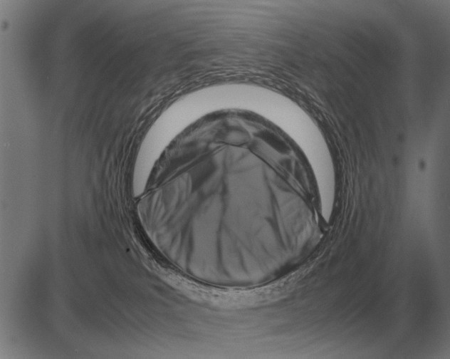 X0000081470039200702021843