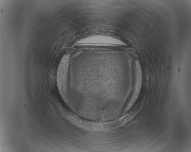 X0000081470040200702021843