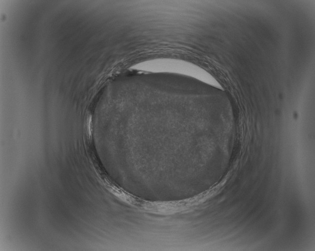 X0000081470041200702021843