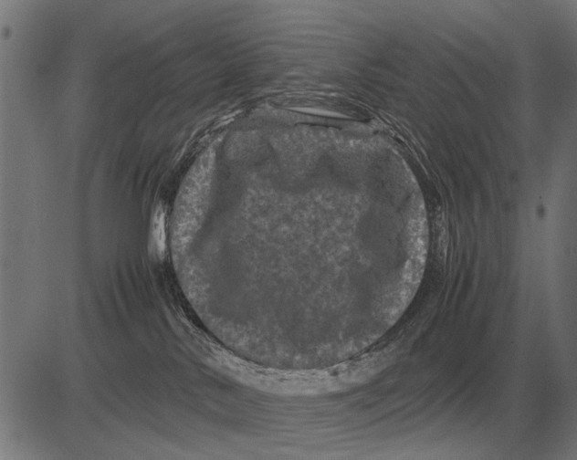 X0000081470042200702021843