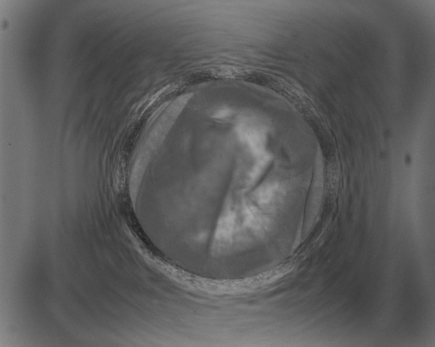 X0000081470043200702021843