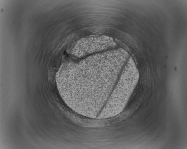 X0000081470044200702021843