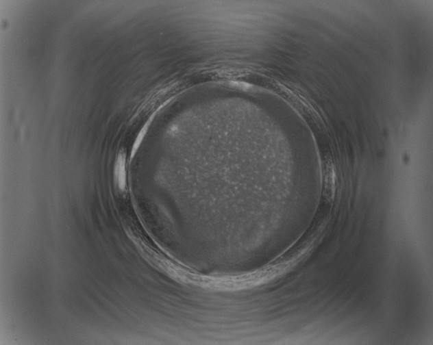 X0000081470046200702021843