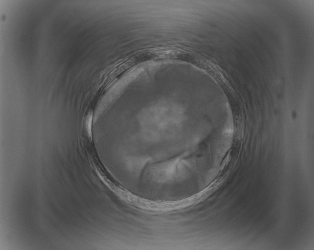 X0000081470047200702021843