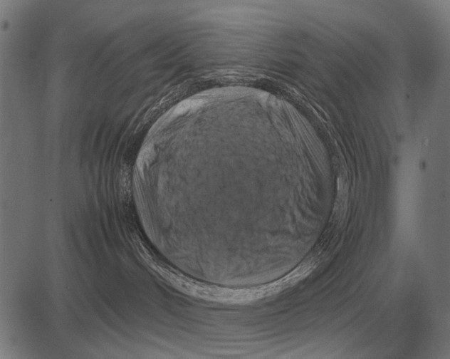 X0000081470048200702021843