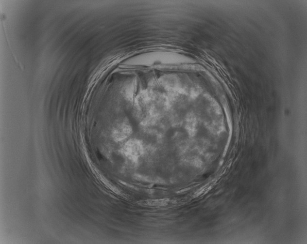 X0000081470049200702021842