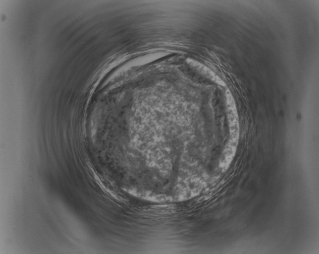 X0000081470050200702021842