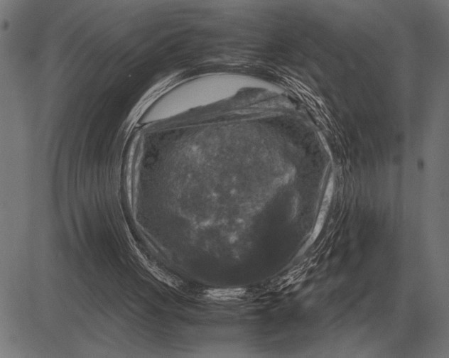 X0000081470051200702021842