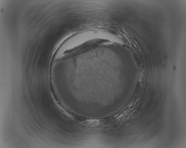 X0000081470052200702021842