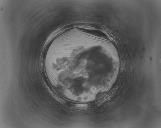 X0000081470053200702021842