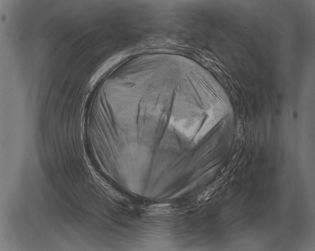 X0000081470054200702021842