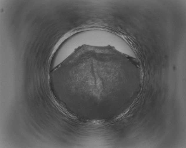 X0000081470056200702021842