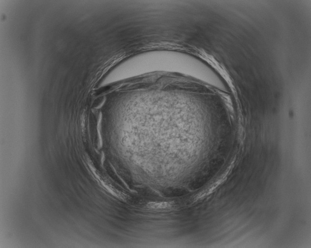 X0000081470057200702021842