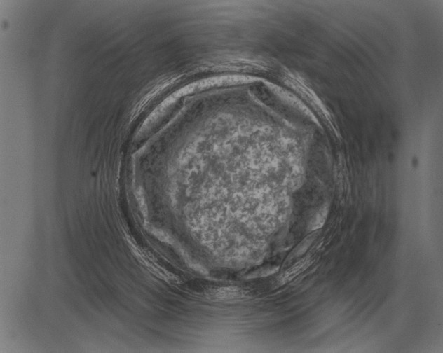 X0000081470058200702021842