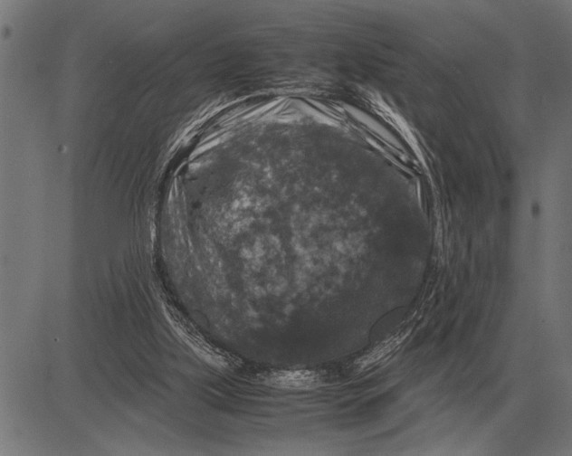 X0000081470059200702021842