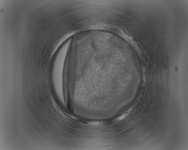 X0000081470060200702021842