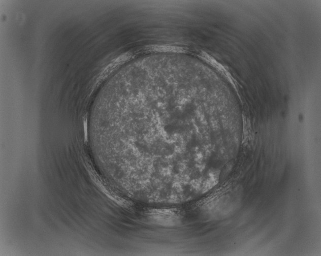 X0000081470061200702021842