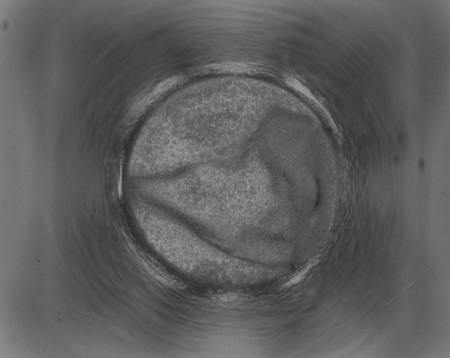 X0000081470062200702021842