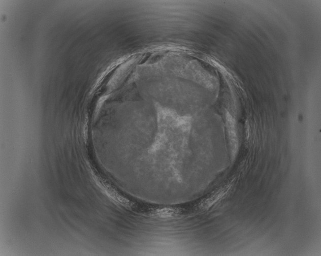 X0000081470064200702021842