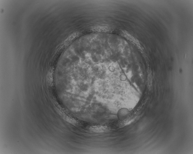 X0000081470065200702021843