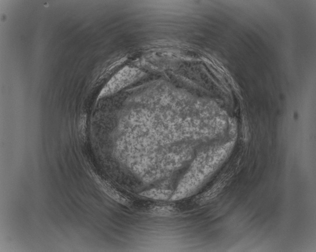 X0000081470066200702021843