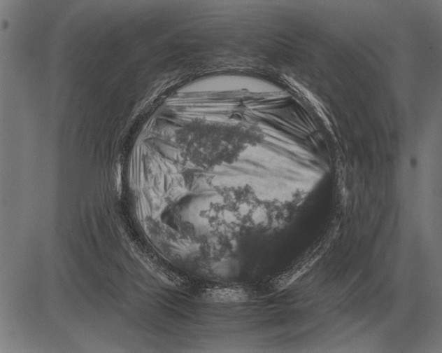 X0000081470067200702021843