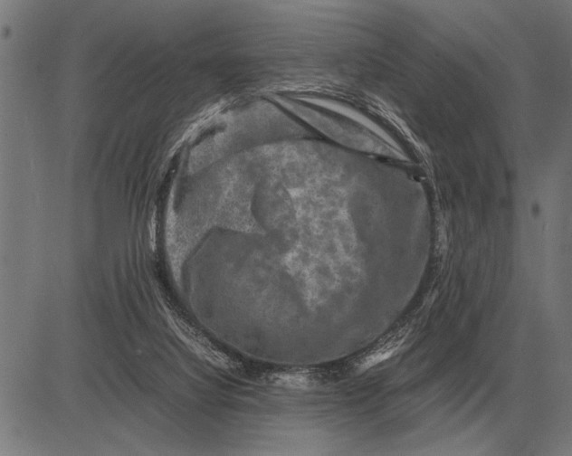 X0000081470068200702021843