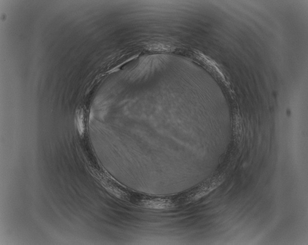 X0000081470069200702021843