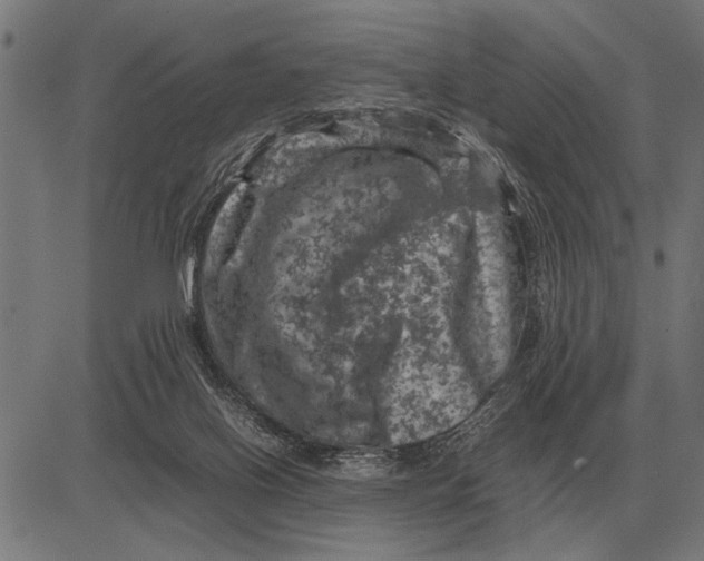 X0000081470070200702021843