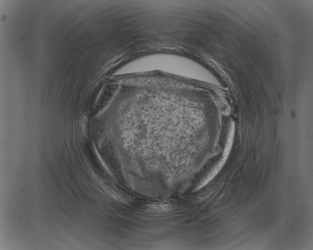 X0000081470071200702021843