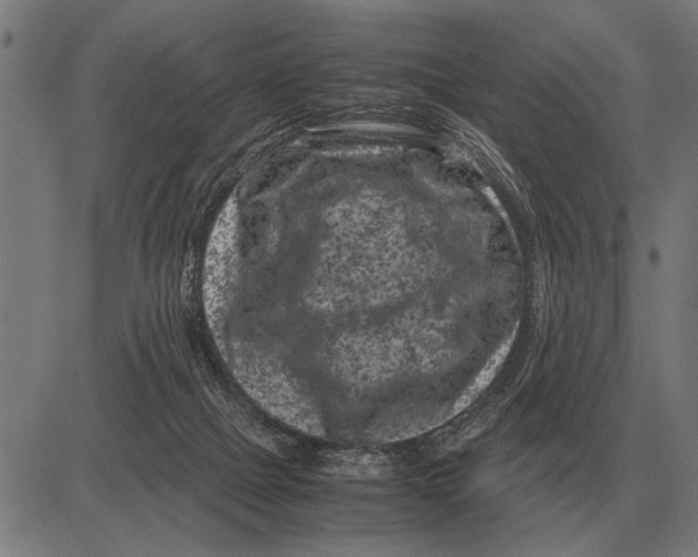 X0000081470073200702021843