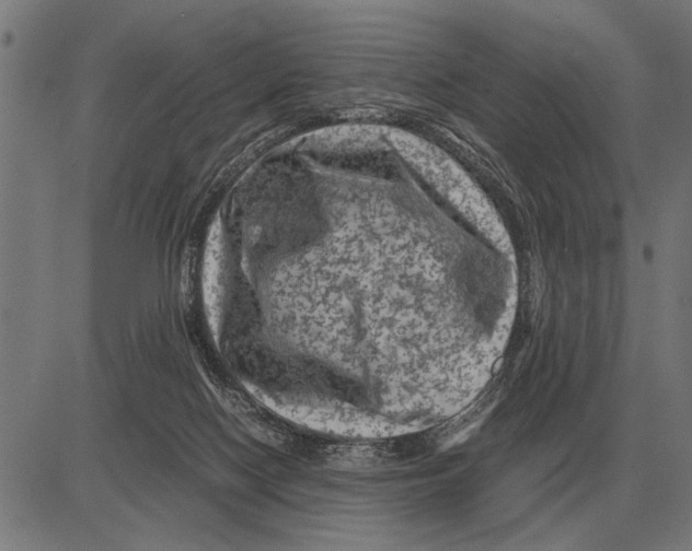 X0000081470074200702021843