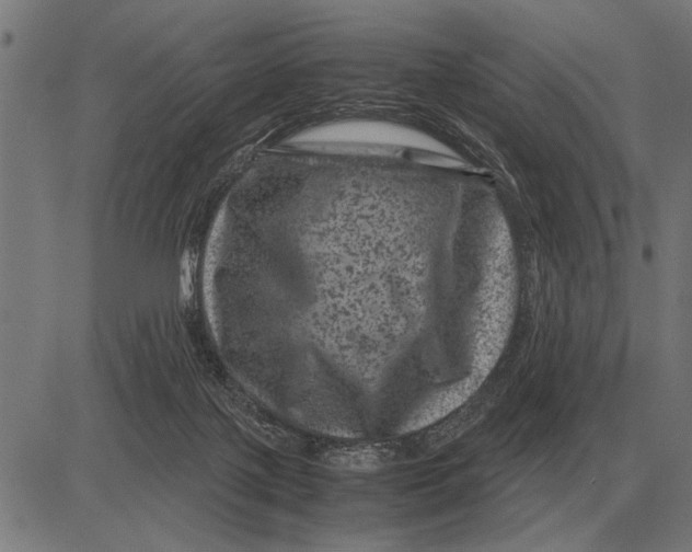 X0000081470075200702021843