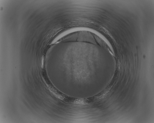 X0000081470076200702021843