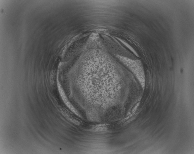 X0000081470078200702021843