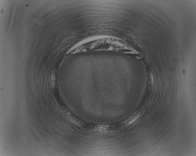 X0000081470080200702021843