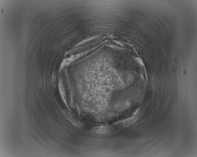 X0000081470082200702021843