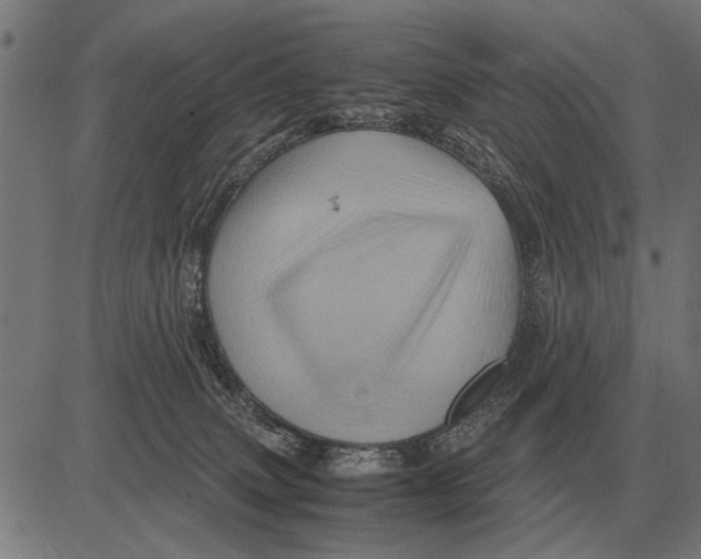 X0000081470083200702021843