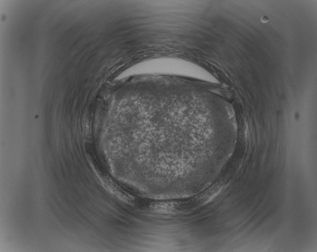 X0000081470084200702021843