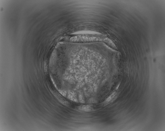 X0000081470086200702021843