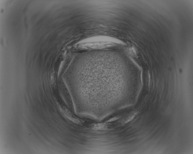 X0000081470088200702021843