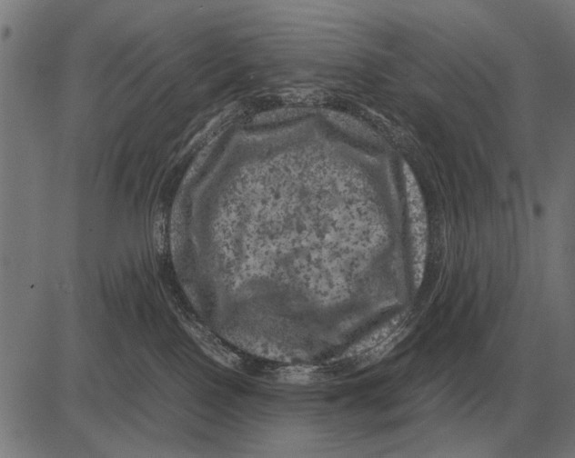 X0000081470090200702021843