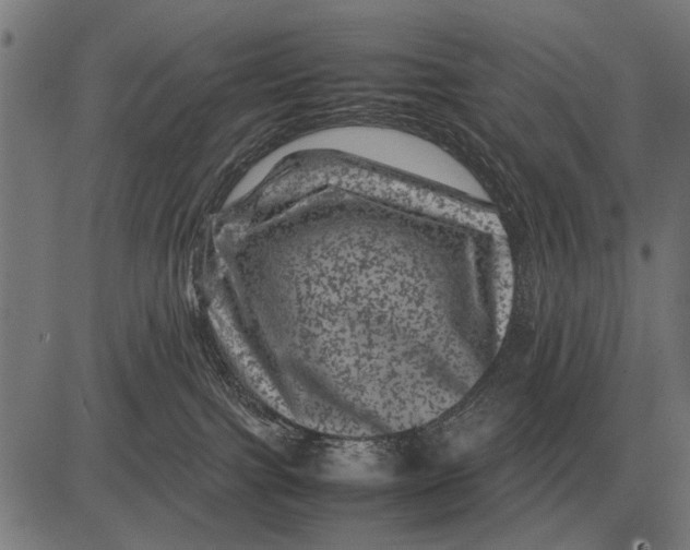 X0000081470091200702021843