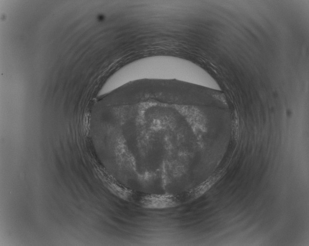 X0000081470093200702021843