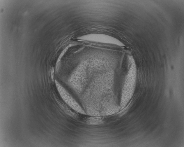 X0000081470094200702021843