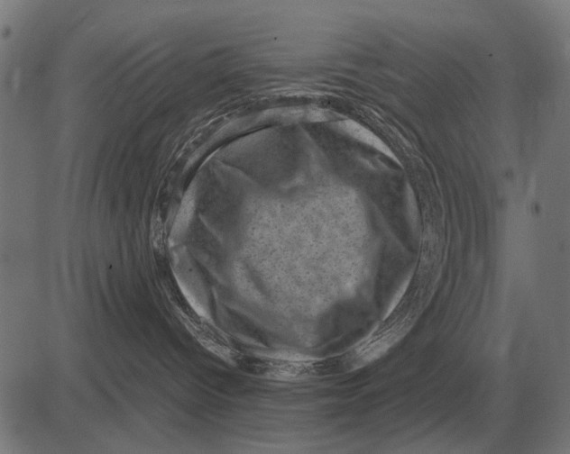 X0000081470096200702021843