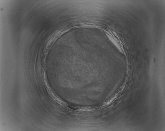 X0000081470097200702021842