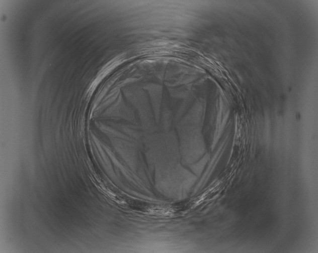 X0000081470099200702021842